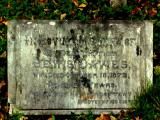 image of grave number 105648